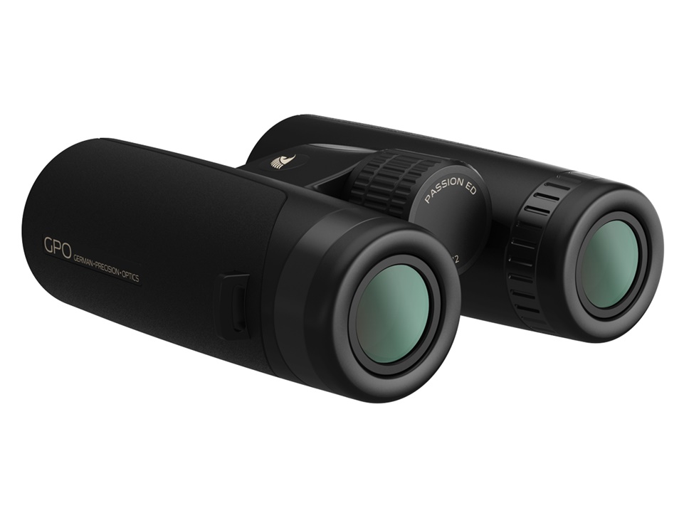 GPO Passion ED 10 x 42 schwarz
