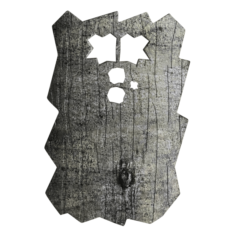 Minox Frontblende für DTC 460 (Buche)