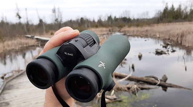 Swarovski NL PURE 8x42