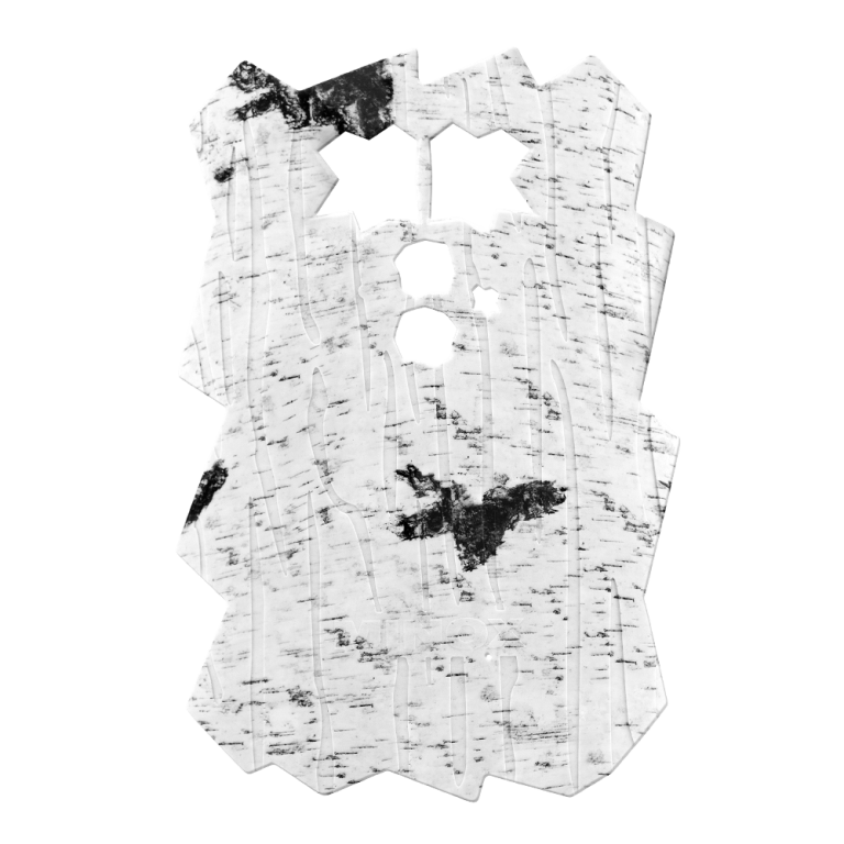 Minox Frontblende für DTC 460 (Birke)